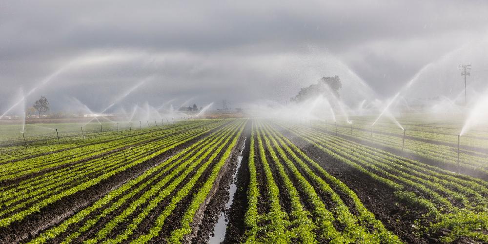 water irrigation downswater
